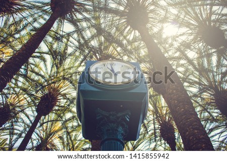 A view looking up at a vintage designed clock and the canopy of palm trees, with a glowing afternoon sun poking through the fronds