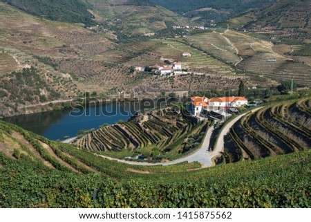 Looking down on quinta buildings in lush terraced vineyards on hillside by the river in Douro Valley in autumn