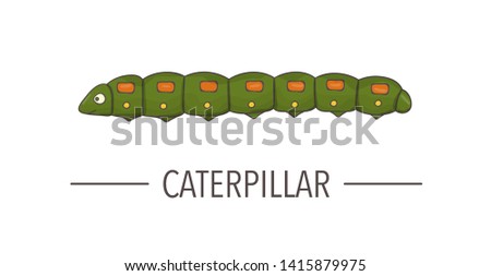 Vector colored green caterpillar icon isolated on white background. Colored cartoon style insect illustration. Bug logo 
