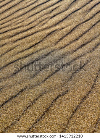 Textures in the sand 2 in Ebro Delta, Tarragona (Spain)