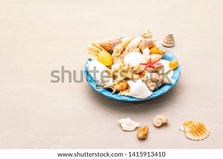 Seashells summer background. Lots of different seashells piled together in blue plate, copy space