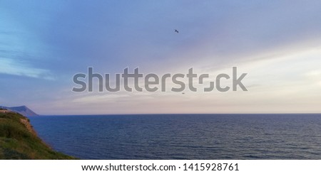 Silhouette of birds on the background of the evening sea sunset landscape. Unusually shaped clouds, backlit by the setting sun, painted in red, pink, blue, purple tones. Summer sea background.
