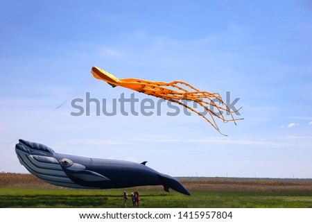 Festival of kites. People take pictures of kites. Large kite in the form of a blue whale over green grass. Orange kite octopus flies in the blue sky
