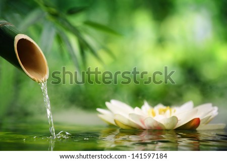Spa still life with bamboo fountain and lotus Royalty-Free Stock Photo #141597184