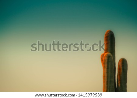 A saguaro cactus with a blurred colorful sky background suitable as copy space.