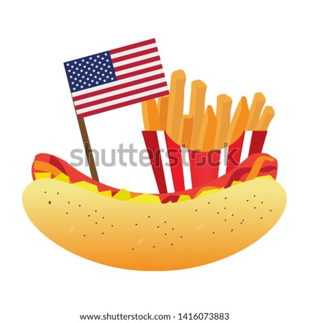 Hot dog and french fries with the flag of United States. American fast food - Vector