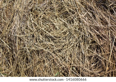 Pile of hay as background
