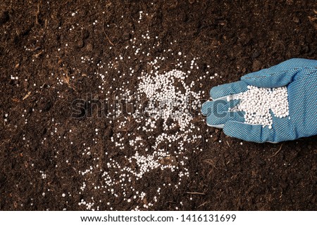 Woman fertilizing soil, closeup view. Gardening season Royalty-Free Stock Photo #1416131699