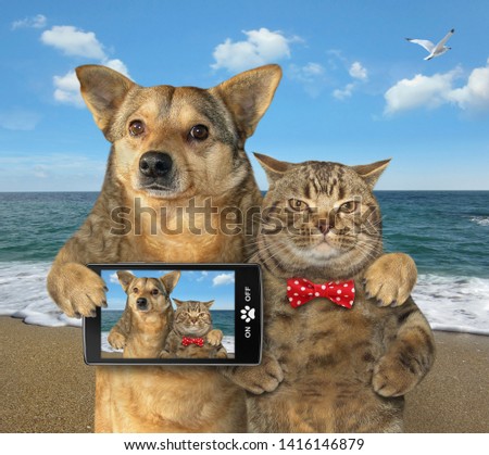 The dog with a smartphone and cat in red bow tie are on the beach in the summer.. They made the selfie for memory.