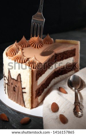Milk slice cake with cocoa, almonds and chocolate. Decorated souffle and waffle with funny cats. Dark background. Isolated. Close-up.