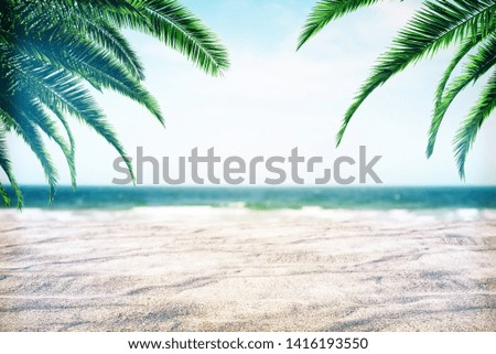 Beautiful beach background with sand and palm trees. Creativity and nature concept