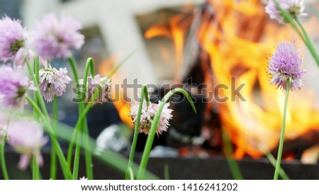 Beautiful flowers are burning and withering near the fire from the grill, firewood is burning in the background, nature protection concept