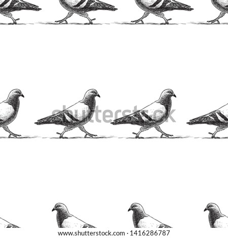 Seamless pattern of striding pigeons