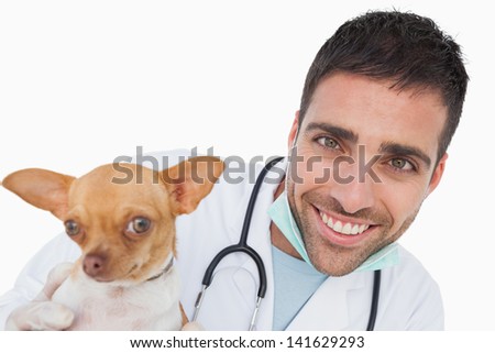 Cheerful male vet holding a funny chihuahua on white background