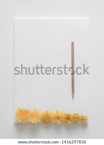 White sheets of paper and a yellow pencil on a white background with yellow dandelion flowers. Minimal concept, copy space.
