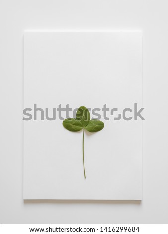 White sheets of paper on a white background with green  leaves clover trefoil. Minimal concept, copy space.
