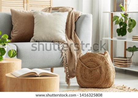 Beige cushions on gray couch in modern living room Royalty-Free Stock Photo #1416325808