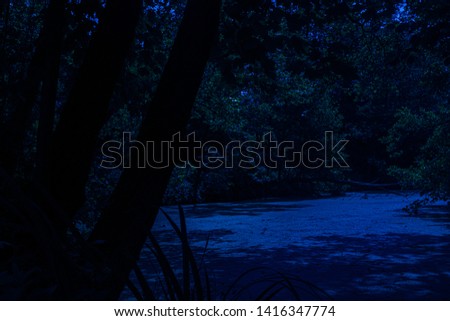 Creepy lake in dark scary forest