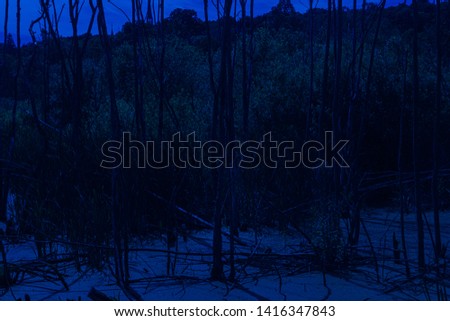 Creepy lake in dark scary forest