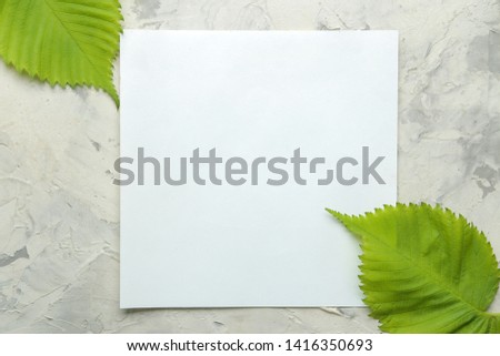 Abstract summer composition. Blank for text and beautiful green leaves on a light concrete background. top view. free place