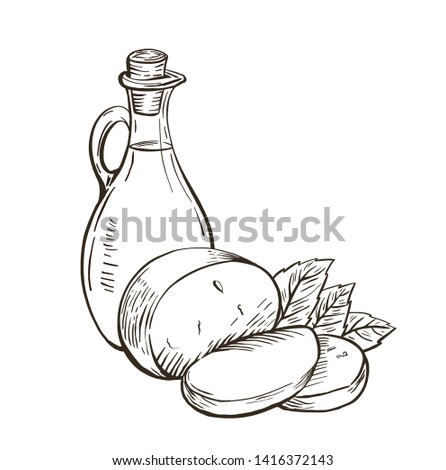 Olive oil in glass bottle with cheese mozzarella and basil leaves. Italian food. Hand drawn design element. Vintage vector engraving illustration for logotype, poster, web.