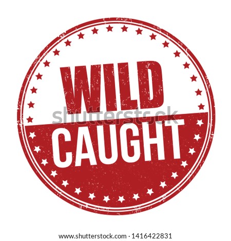 Wild caught sign or stamp on white background, vector illustration