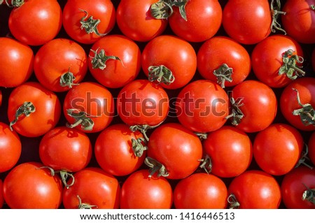 Closeup plenty isolated red fresh ripe cherry tomatoes together with stems are awaiting distribution in box on farmers market. Concept of selling vegetables in the supermarket, grocery store