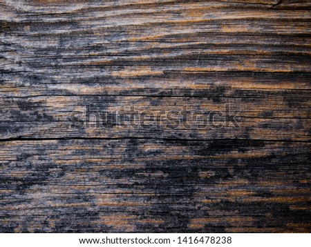 wood texture background with copy space for your text