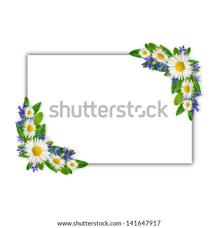 White horizontal frame with wild flowers Royalty-Free Stock Photo #141647917