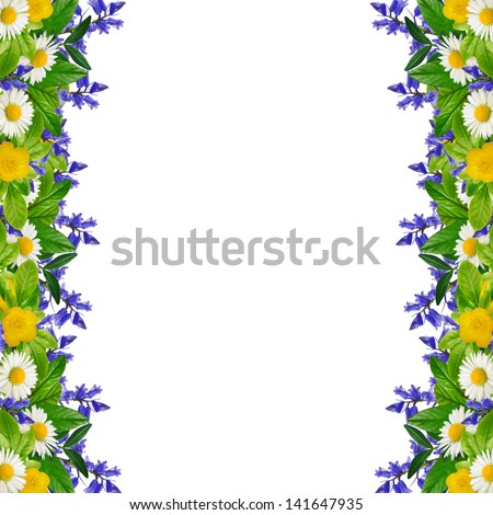 Frame: different colorful flowers on the white background Royalty-Free Stock Photo #141647935