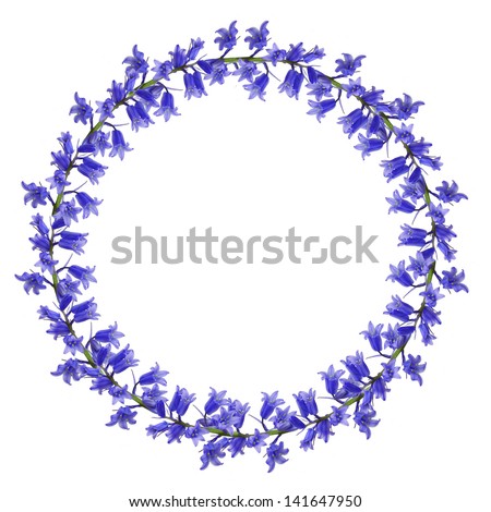 Circle frame of blue wild flowers on the white background Royalty-Free Stock Photo #141647950