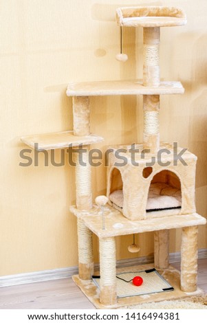 Cute funny cat tree in the living  room with scratcher.