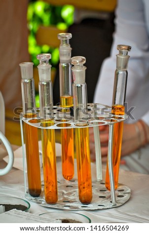 Glass tubes with a multicolored liquid. Demonstration of experiments on chemistry and biology at the school scientific exhibition.