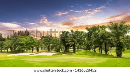 Green and sand bunker with tree in golf course on sunset background