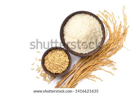 Top view of white rice and paddy rice in wooden bowl with rice ear isolated on white background. Royalty-Free Stock Photo #1416621635