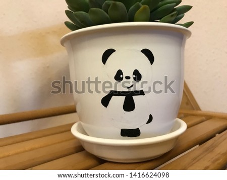 green flower sukulent in a white pot with a picture of a panda and a white bowl