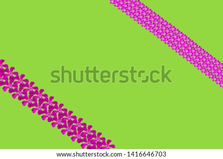 Patterned blank with pink flowers on a light green background