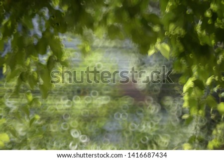 Intended to make it blurred, Green leaf are on soft vintage color in blur style.  A green nature background with light bokeh. Foreground focus on leafs curtain.  Concept for nature ecology wallpaper 
