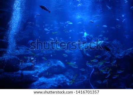 Beautiful scenery with sea creatures