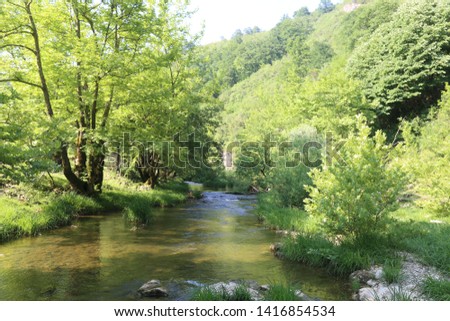 Water flows slowly through the river streams into the forest. Mossy river flow rocks. Mossy forest river stream view. stream flow in spring