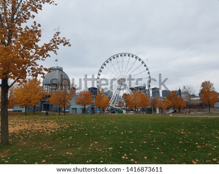 a photo of a wheel with trees in montreal