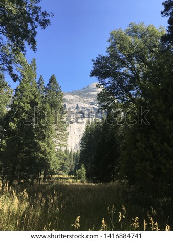 Hidden valley in the forests of Yosemite