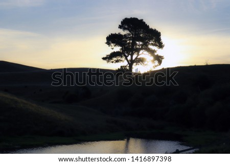 lonely tree and sunset on the hill