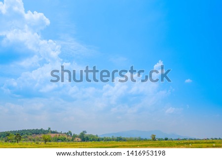Beautiful Blue Sky Background with White Clouds and Rice Field. Picture for Summer Season. 