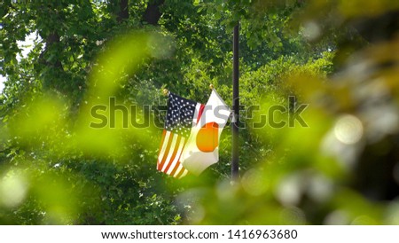 National flag of Japan and United States of America at the street.  Green leaves on trees background.