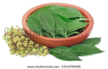 Ayurvedic henna leaves and flower over white background 