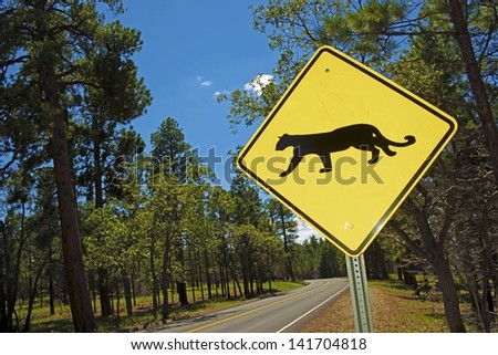 Cougar Crossing - Mountain Lion Xing Traffic Sign in Arizona, USA.