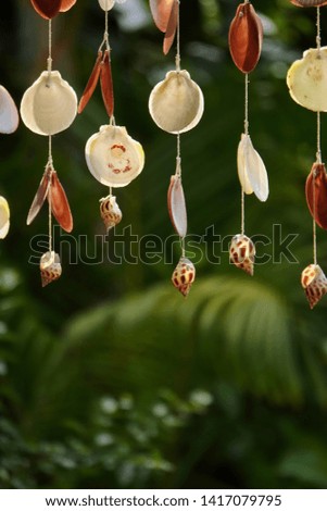 shell curtain for decoration in a garden view