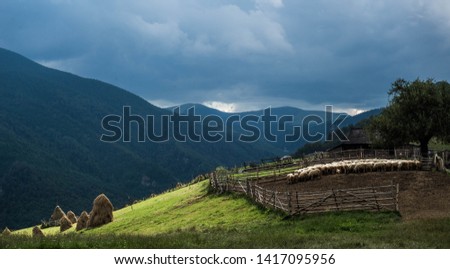 Romanian sheepfold on Romanian mountain top following forest roads that lead to blue summer skies Royalty-Free Stock Photo #1417095956