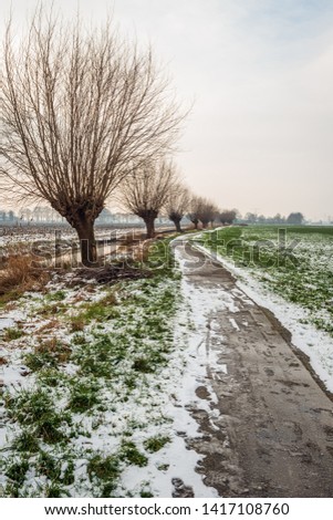 Endless-looking bicycle and hiking trail in winter. Along the path is a row of pollard willows. The thaw has begun. The photo was taken near the Dutch village of Drimmelen, North Brabant.